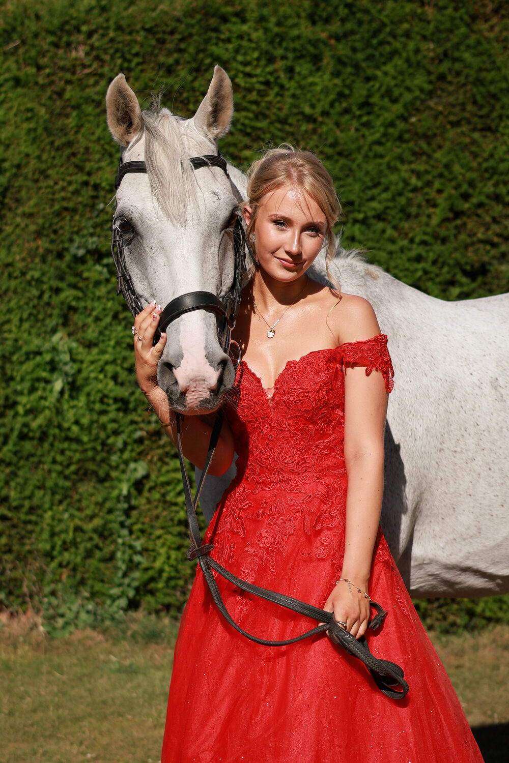 Editorial equine portrait