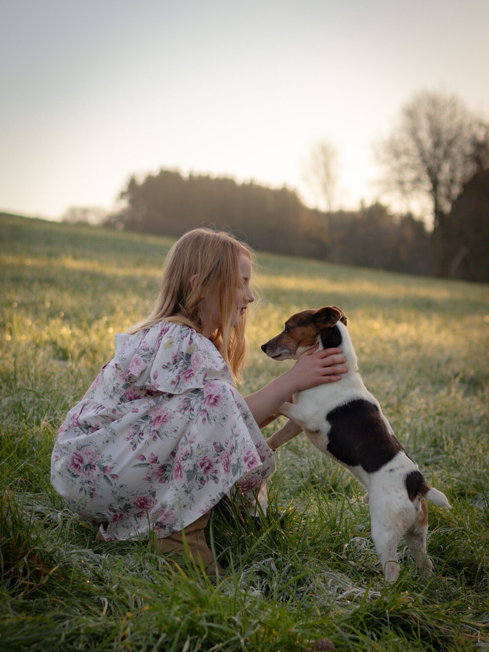 Pet and dog photography in the countryside